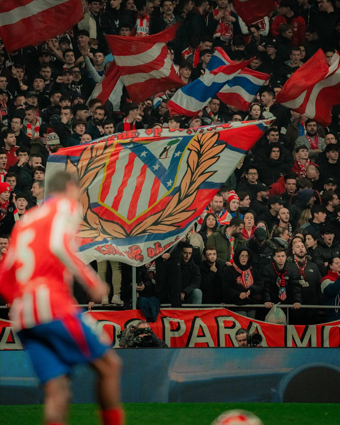 山东泰山，2026该怎么“活”？（2026年，山东泰山路在何方？）